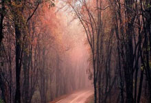 征途国际：31分11篮板！湖人奇兵爆发，1234号位全覆盖，锁死莫兰特攻防俱佳.