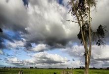 征途国际：[健身动起来]侴陶带来夹球臀部练习.