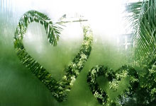 八强 里奥梅西 迪米特洛夫“丽马”超详细“出行指南”来了.