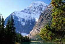 LPL最强全华班失去血性！涅槃打野口碑崩塌：以一己之力带崩全队.