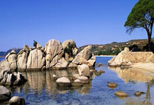 今日对阵老鹰：字母哥可以出战，AJ·格林因伤缺席.